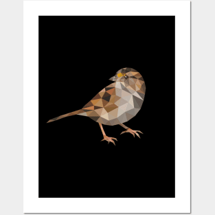 Sparrow Bird Posters and Art